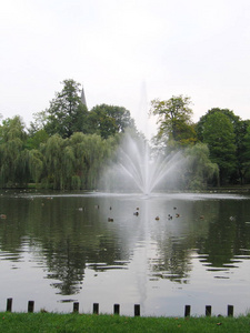 公园里的高喷泉, 在池塘中央