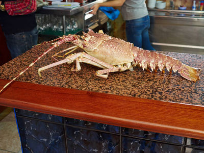 餐厅内的龙虾新鲜海鲜贝类食品