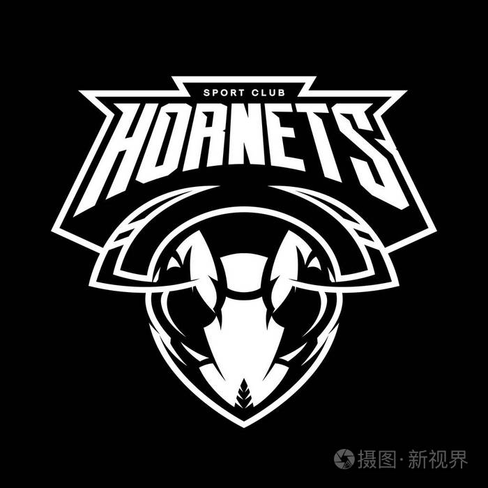 黑色背景上孤立的愤怒大黄蜂头部运动俱乐部矢量标志概念
