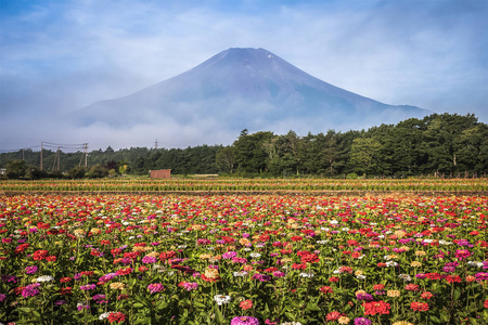 山富士山，日本