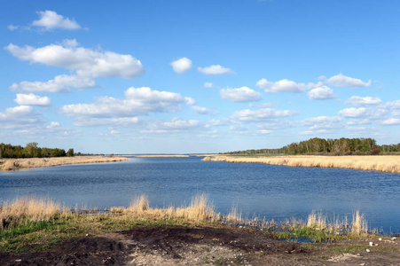 湖 Bolshoe Ostrovnoe。阿勒泰地区