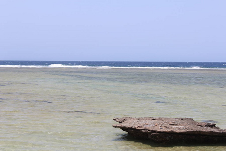 红海海滩红海埃及