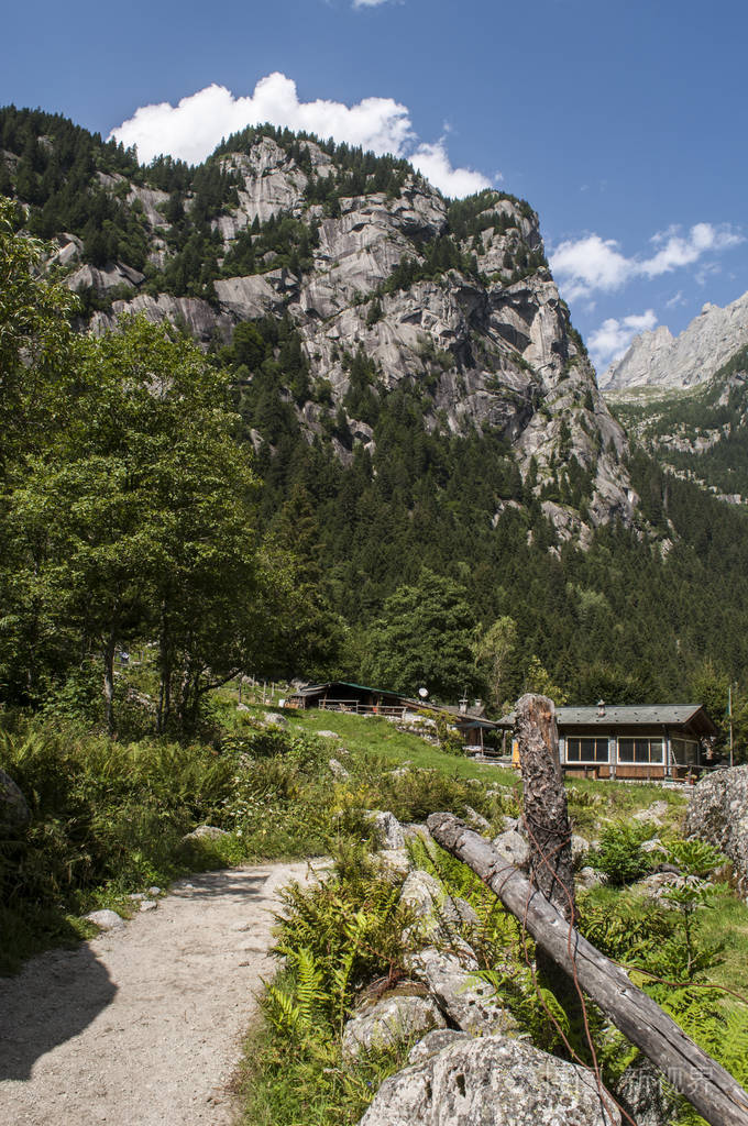 意大利: 梅洛谷,val di 梅洛,青翠的山谷森林树木和