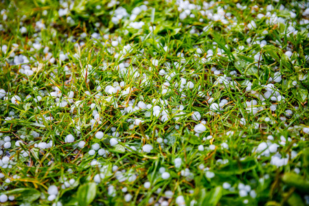 冰雹在草地上