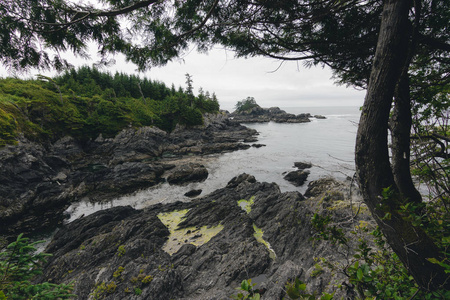 偏远的海岸景观与岛屿, 悬崖和云