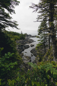 偏远的海岸景观与岛屿, 悬崖和云