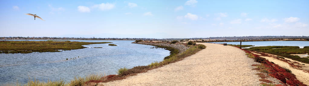 和平和宁静的沼泽的 Bolsa Chica 江西沿路径