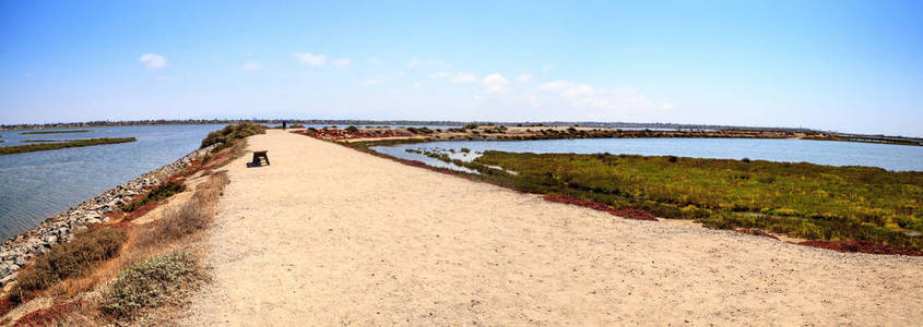 和平和宁静的沼泽的 Bolsa Chica 江西沿路径