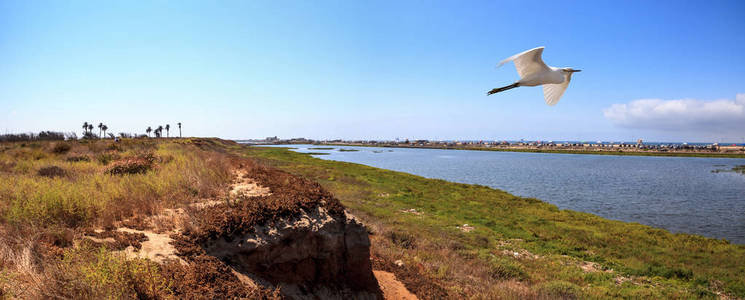 和平和宁静的沼泽的 Bolsa Chica 江西沿路径