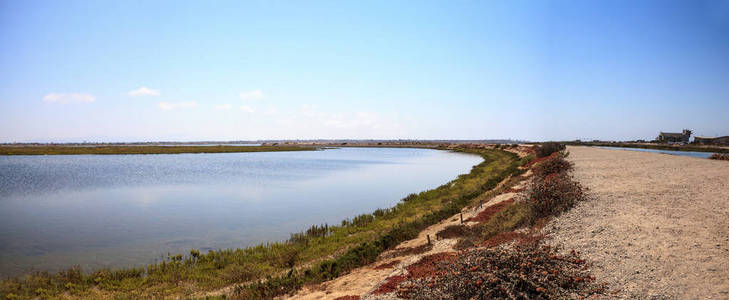 和平和宁静的沼泽的 Bolsa Chica 江西沿路径