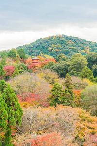 美丽的建筑，在清水寺京都