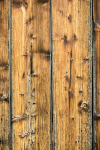 岁的云杉松木材木板墙细部图片