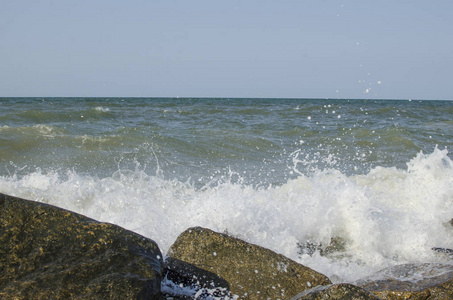 海大在海边岩石上