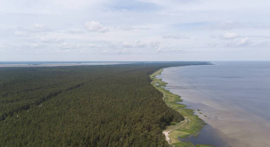 农村无人机顶视图的 Engure 拉脱维亚鸟瞰图