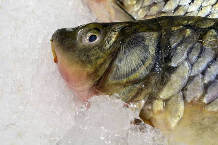 冰在市场上的新鲜鱼。海鲜 非转基因生物和化学