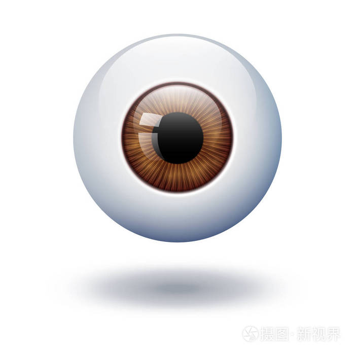 realystic 矢量 3d 眼睛球