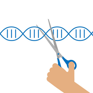 手动的基因工程
