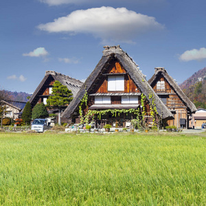 秋天的白川乡和五崮山 J 历史村庄