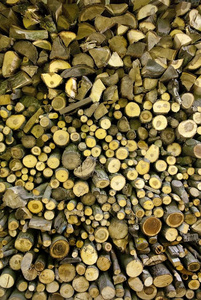 干燥的炉点燃一堆木柴