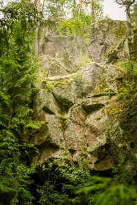 芬兰美丽的岩石森林景观