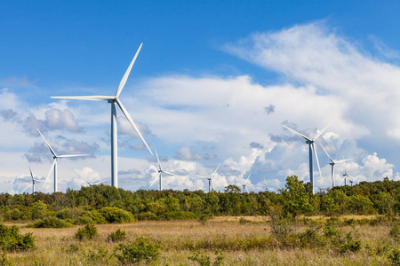 风车风力涡轮机的电力生产在绿色的田野