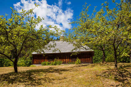木的农村房子和绿色庭院, 波罗的海传统, 拉脱维亚