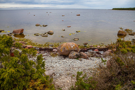 美丽的岩石海岸。波罗的海的石灰石悬崖