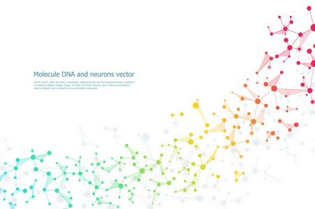 结构分子 dna 和神经元相互连接的直线与点，遗传和化学化合物，矢量图