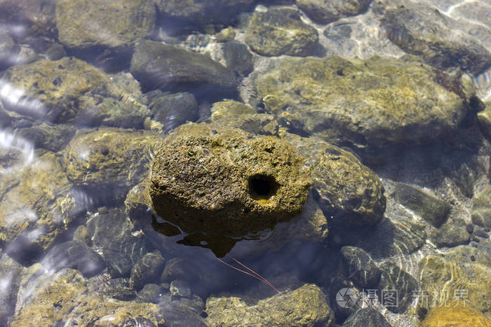 水下沙滩上的石头