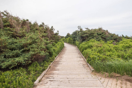 到岛海滩，罗宾逊在 Pei 浮桥