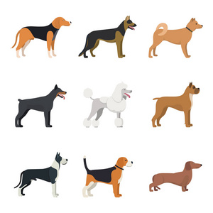 不同类型的狗品种集