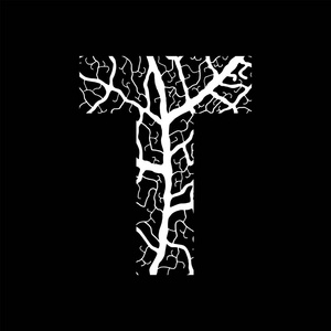 使用叶静脉图案白色填充的性质字母表生态装饰字体大写字母 t照片