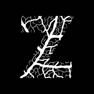 字母使用叶静脉图案白色填充的性质字母表生态装饰字体大写字母 z照片