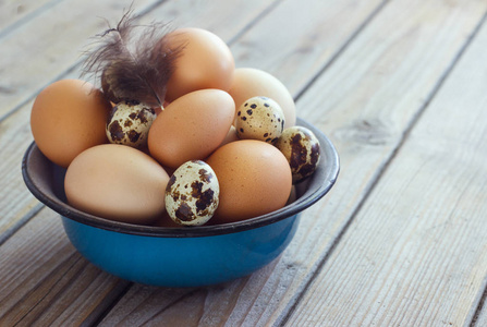 从鸡与鹌鹑的农场,在金属碗里的鸡蛋照片