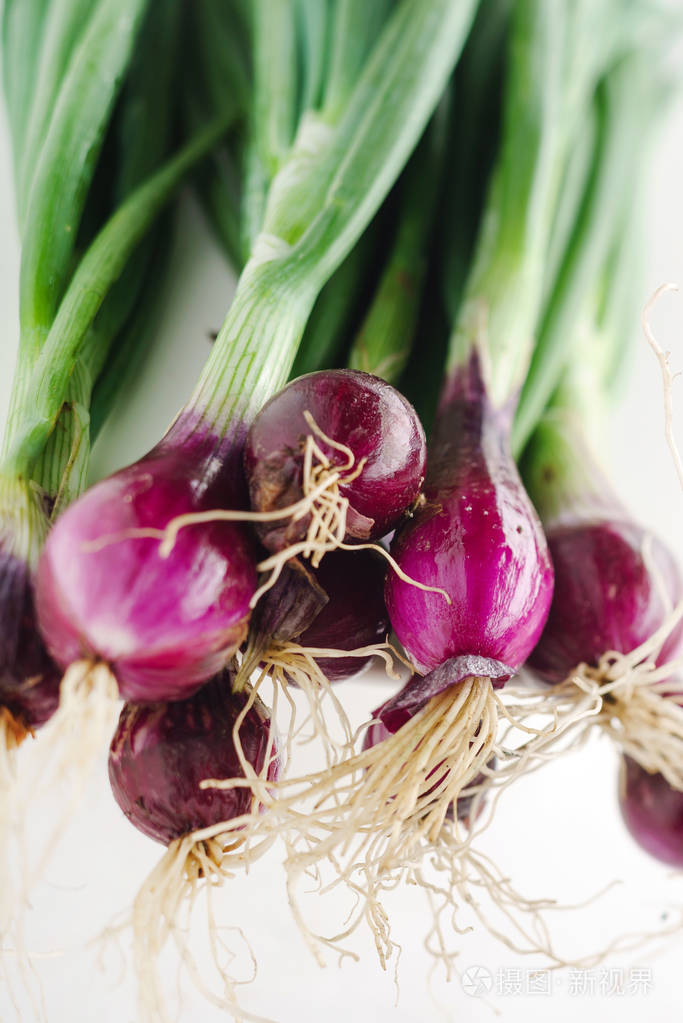 新鲜洋葱鳞茎