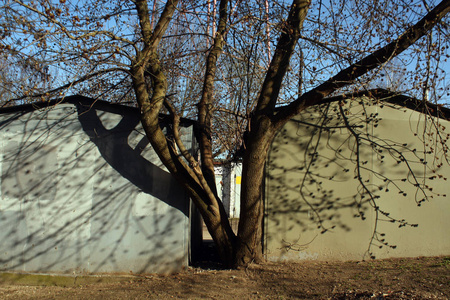 树和它的阴影之间的两个粗糙的金属车库