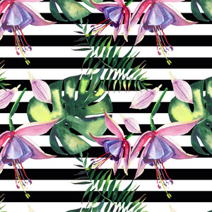 美丽明亮可爱多彩热带夏威夷花卉草药夏季紫罗兰图案的热带花卉兰花和棕榈叶上黑色水平线背景水彩手绘