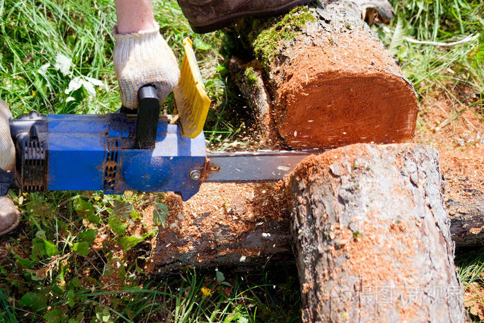 男子与链锯工作砍树关闭