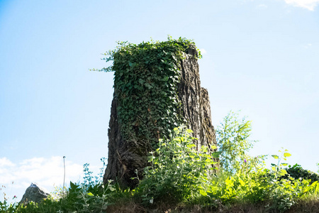 视图在欧洲与建筑物在阳光明媚的一天