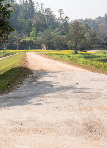 沿小水库的泥泞道路