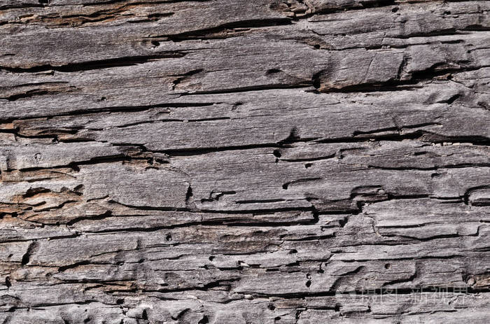 的质感老朽烂裂的木板格雷横向照片壁纸