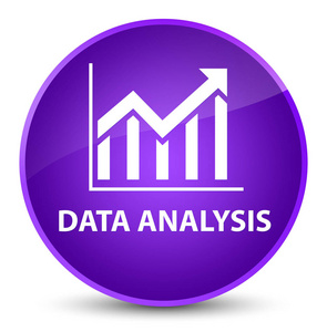 数据分析 统计图标 优雅紫色圆按钮