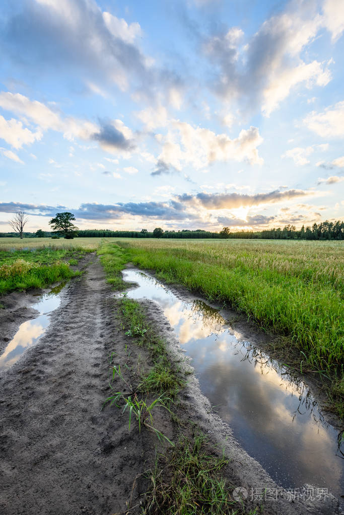 夏季与戏剧性的日落的乡村田野