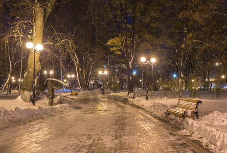 冬天的夜晚景观长凳下树木和闪闪发光的街道灯飘落的雪花