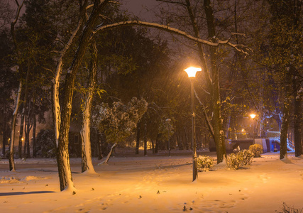 冬天的夜晚景观长凳下树木和闪闪发光的街道灯飘落的雪花