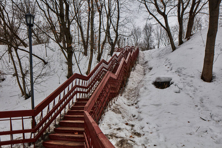 森林里的雪, 莫斯科在冬天的时候