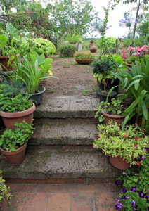 旧的石阶，小小的意大利花园，装饰用花盆