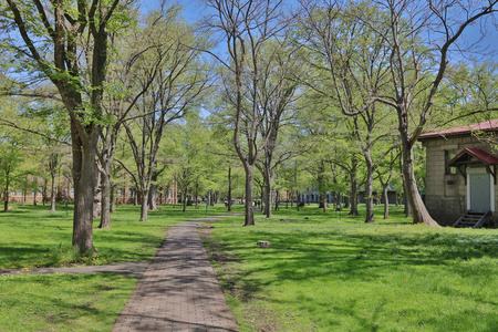 在日本的北海道大学 landsvape