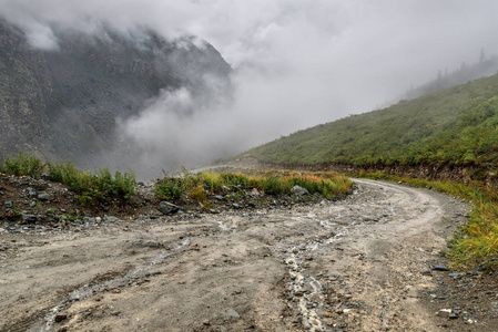 路山通过雨雾