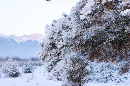 白雪覆盖的山的背景